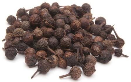 Piper cubeba -3.jpg